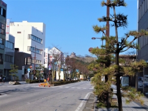 近江八幡市鷹飼町の土地最新販売事例とお役立ちタウン情報