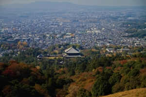奈良市藤ノ木台三丁目の最新土地相場情報とタウン情報