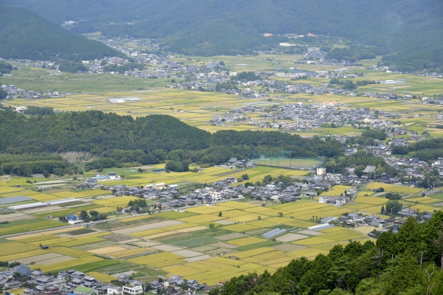 京都市伏見区醍醐鍵尾町のメイン画像