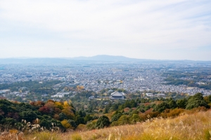 五條市新町一丁目の土地最新販売事例とタウン情報