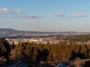 奈良市東城戸町は住みやすい土地柄か検証