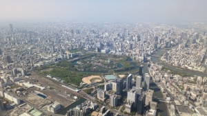豊中市城山町四丁目の土地最新販売事例と暮らしお役立ち情報