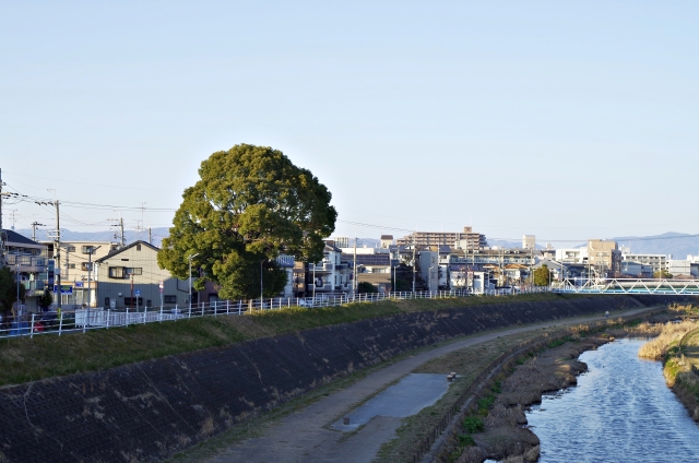豊中市東泉丘三丁目のメイン画像