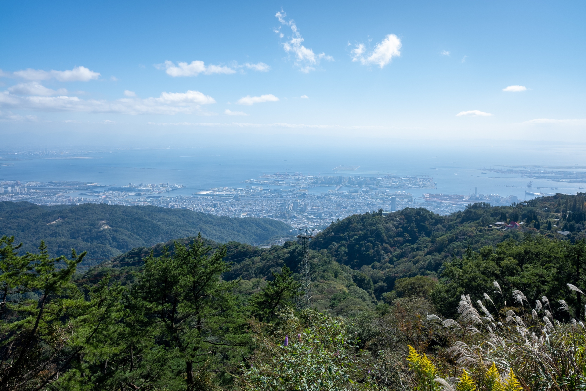 尼崎市開明町一丁目のメイン画像