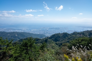 尼崎市開明町一丁目の土地と暮らしお役立ち情報