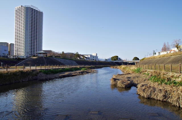 四條畷市蔀屋本町のメイン画像