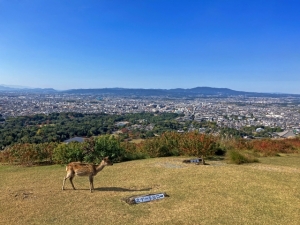 奈良市南椿尾町は住みやすい土地なのか検証