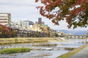 京田辺市宮津東外島の土地の土地最新販売事例と暮らし