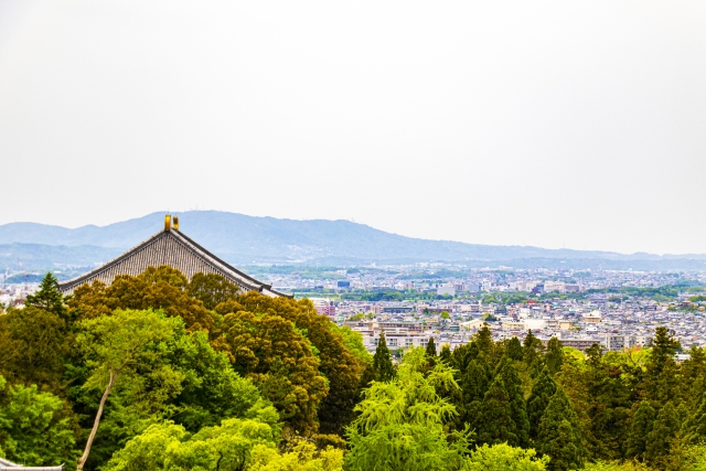 奈良市帝塚山五丁目のメイン画像